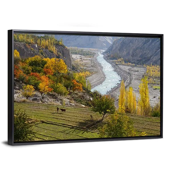 Agricultural Field Near Hunza Valley Canvas Wall Art