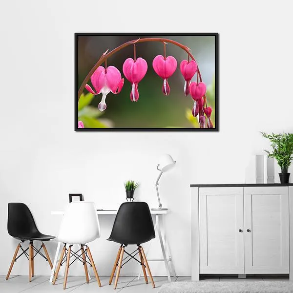 Bleeding Heart Flowers Canvas Wall Art