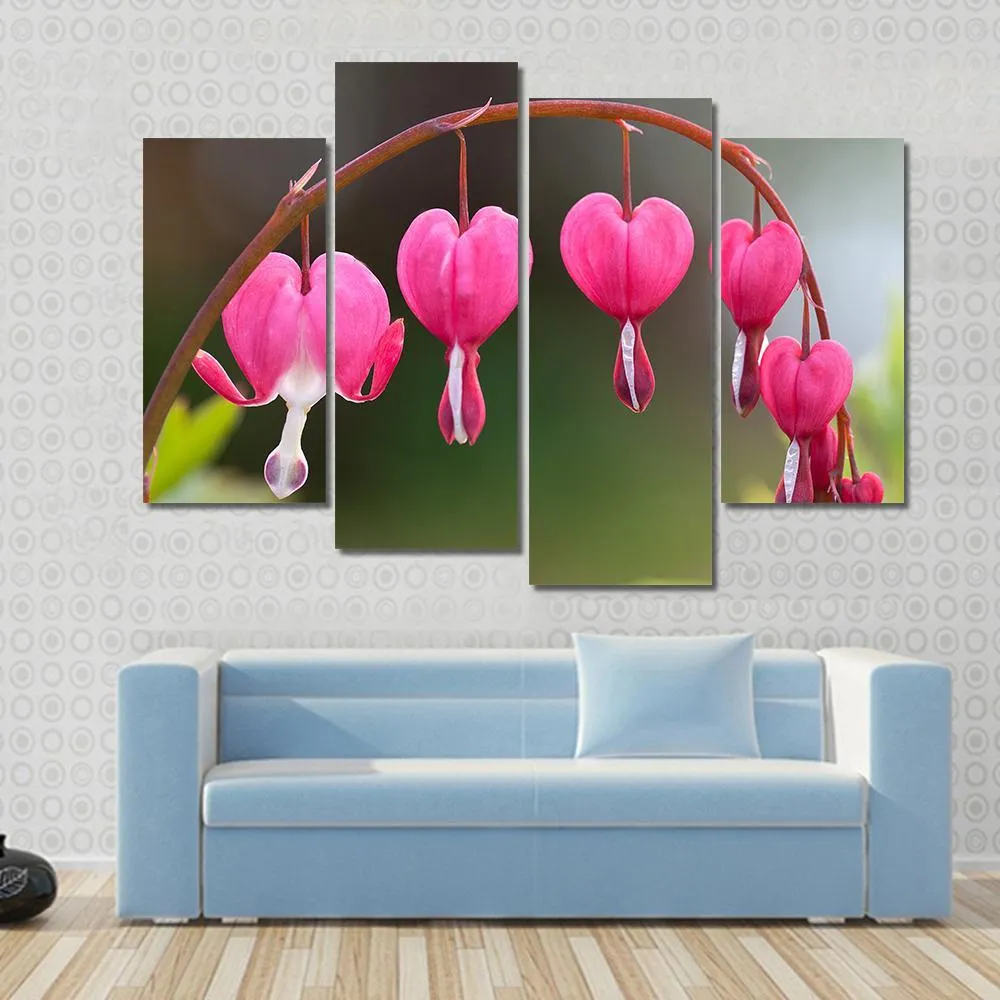 Bleeding Heart Flowers Canvas Wall Art