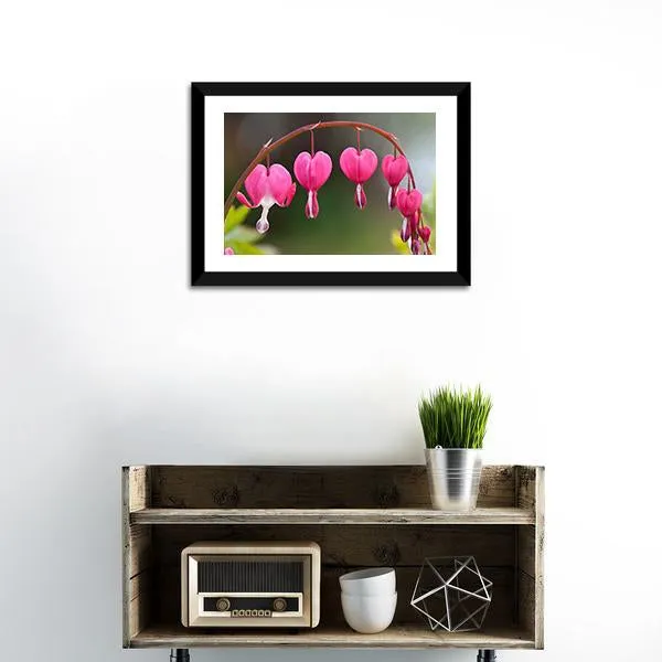 Bleeding Heart Flowers Canvas Wall Art