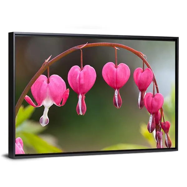 Bleeding Heart Flowers Canvas Wall Art