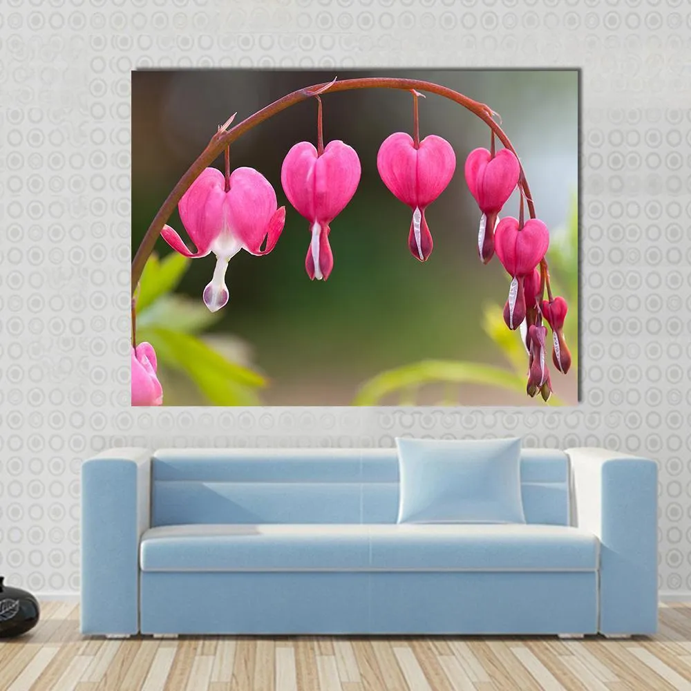 Bleeding Heart Flowers Canvas Wall Art