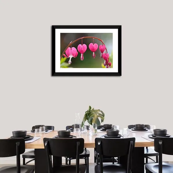 Bleeding Heart Flowers Canvas Wall Art