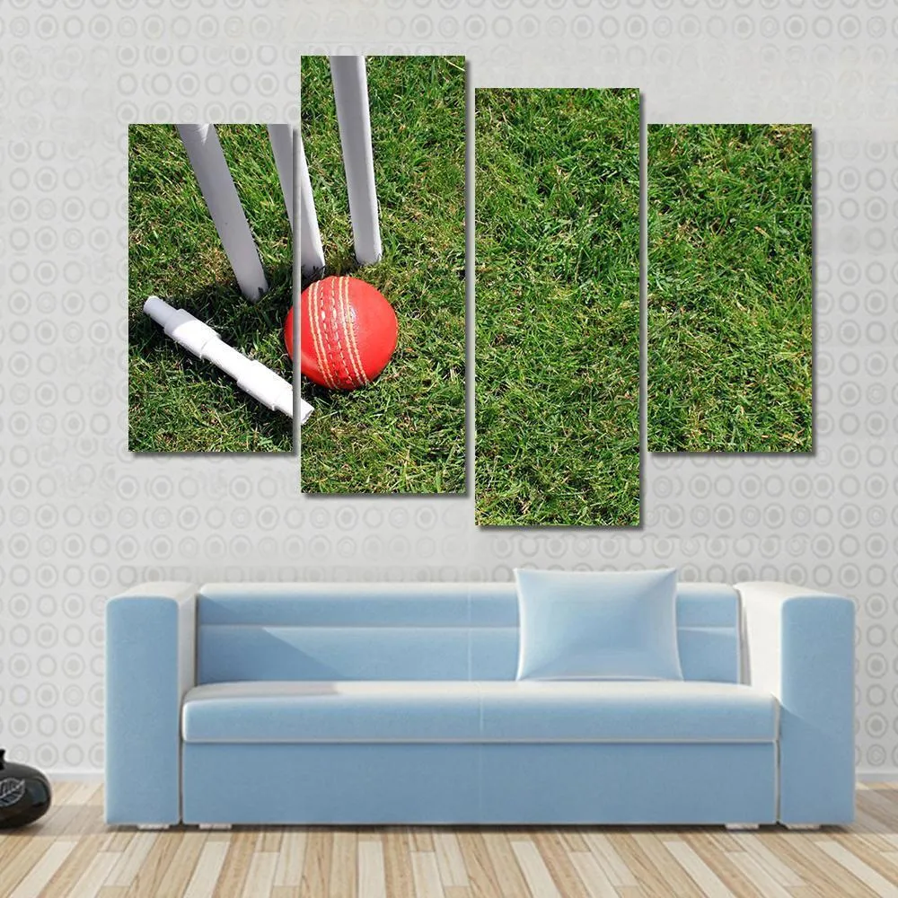 Cricket Ball & Stumps Canvas Wall Art