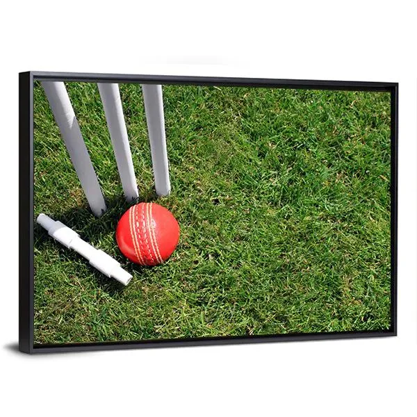 Cricket Ball & Stumps Canvas Wall Art