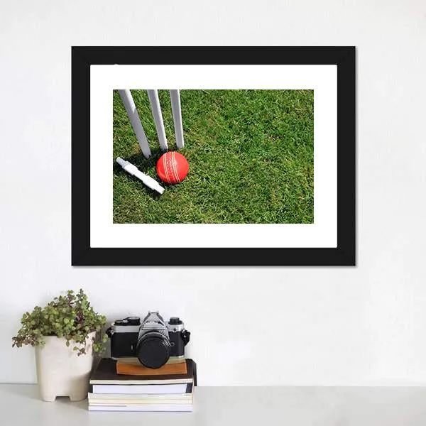 Cricket Ball & Stumps Canvas Wall Art