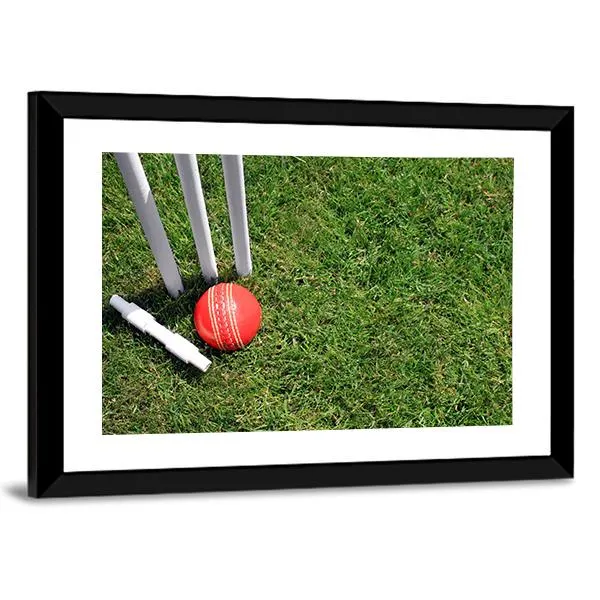 Cricket Ball & Stumps Canvas Wall Art