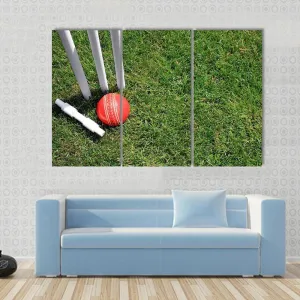 Cricket Ball & Stumps Canvas Wall Art