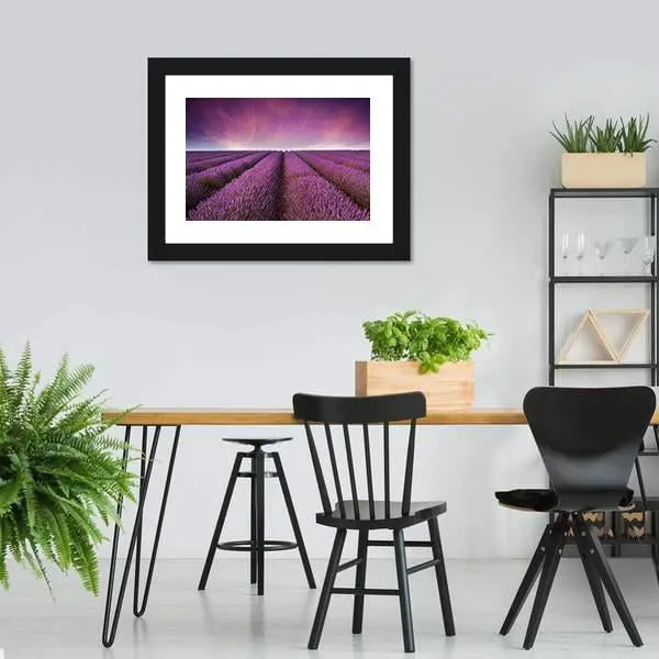 Lavender Field At Sunset Canvas Wall Art