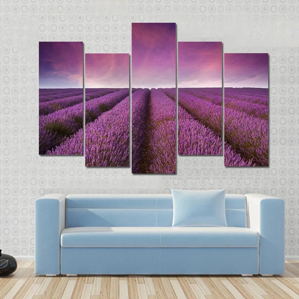 Lavender Field At Sunset Canvas Wall Art