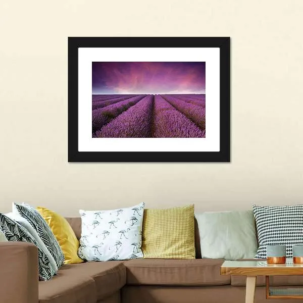 Lavender Field At Sunset Canvas Wall Art