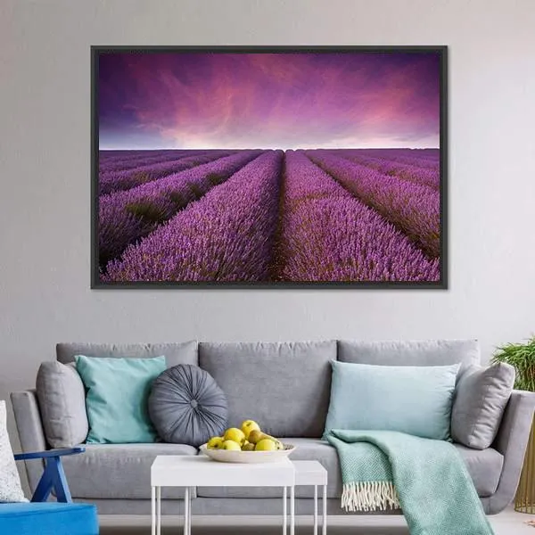 Lavender Field At Sunset Canvas Wall Art