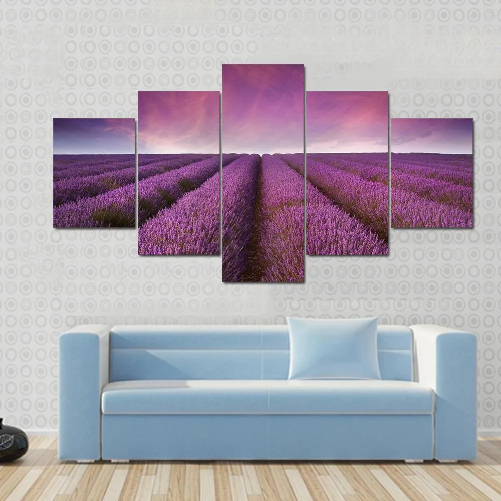 Lavender Field At Sunset Canvas Wall Art