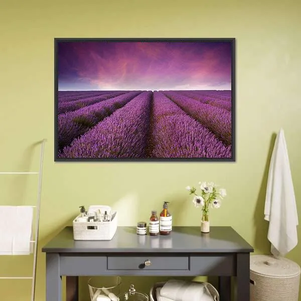 Lavender Field At Sunset Canvas Wall Art