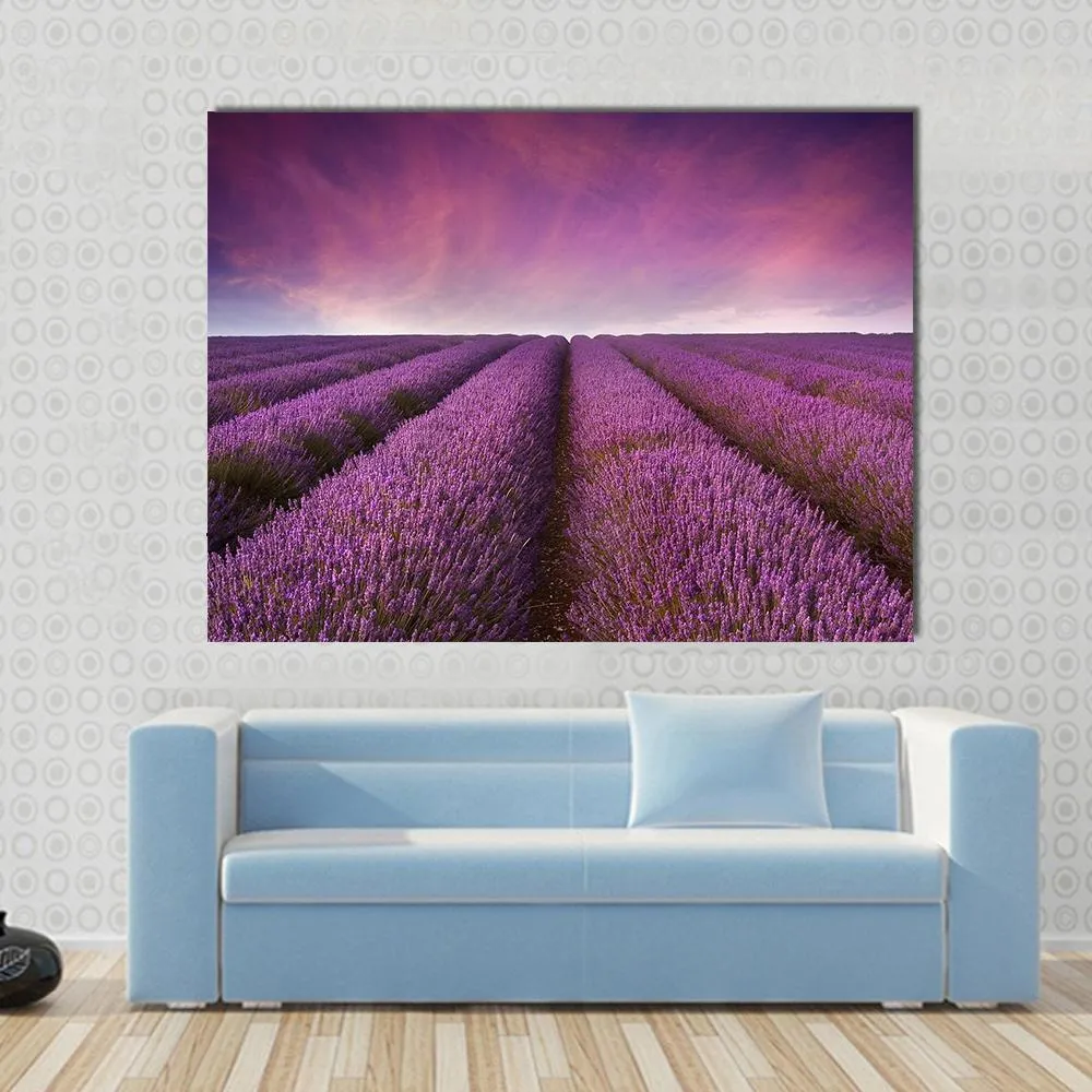 Lavender Field At Sunset Canvas Wall Art