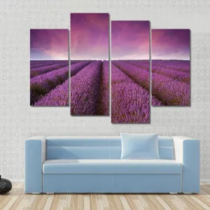 Lavender Field At Sunset Canvas Wall Art