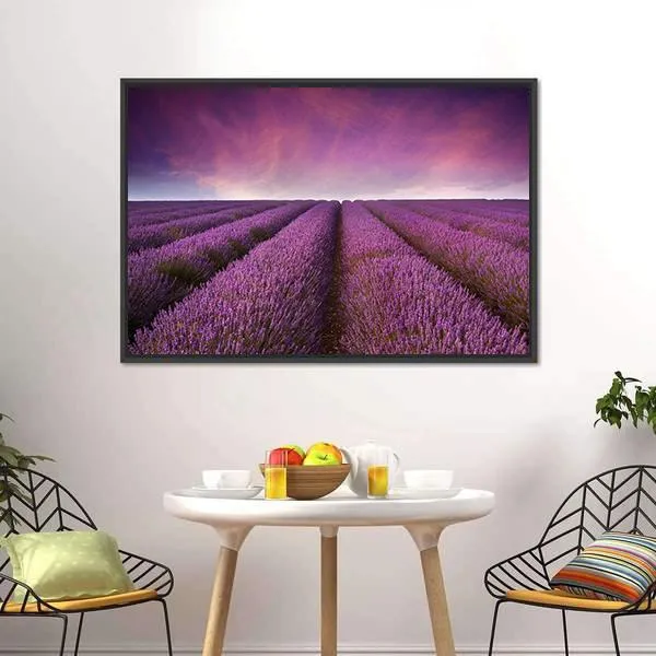 Lavender Field At Sunset Canvas Wall Art