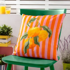 Oranges Outdoor Cushion Orange